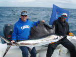 Dan and Cathy Soots with "admiral Stewart" and thier first sails. They landed a triple and  all posed with one fish. They were fishing on the KILLER INSTINCT with Capt. Joe Petrucco.