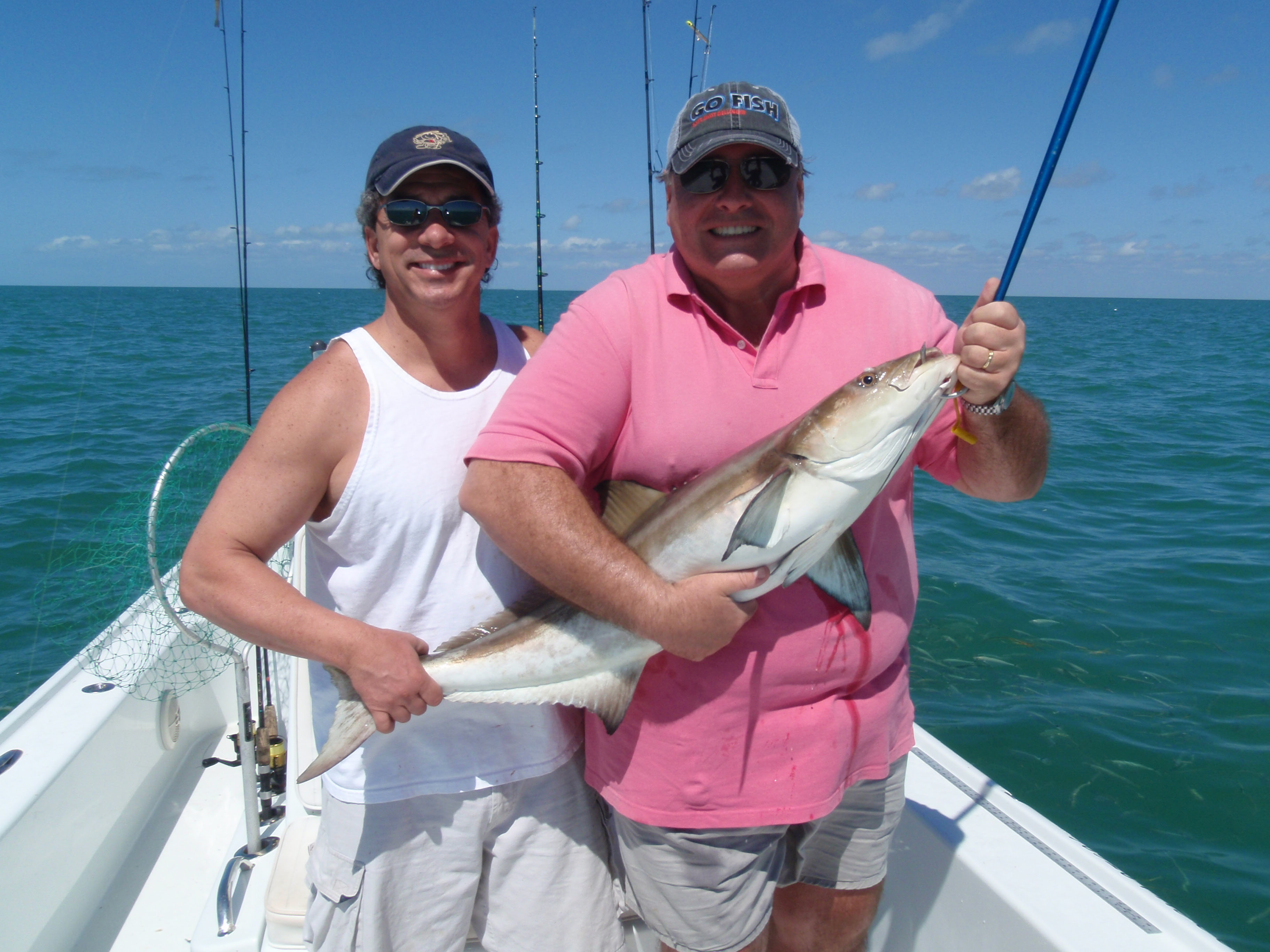 Cobia - Caught with Captain Matt Bellinger